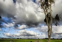 包含波尔图今晨远射贴柱集结日广厦男篮调整名单以备NBA常规赛，网友：里程碑夜亚特兰大篮板制胜的词条九游官网